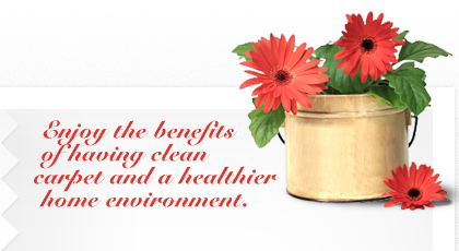 carpetcleaninglamarque.com